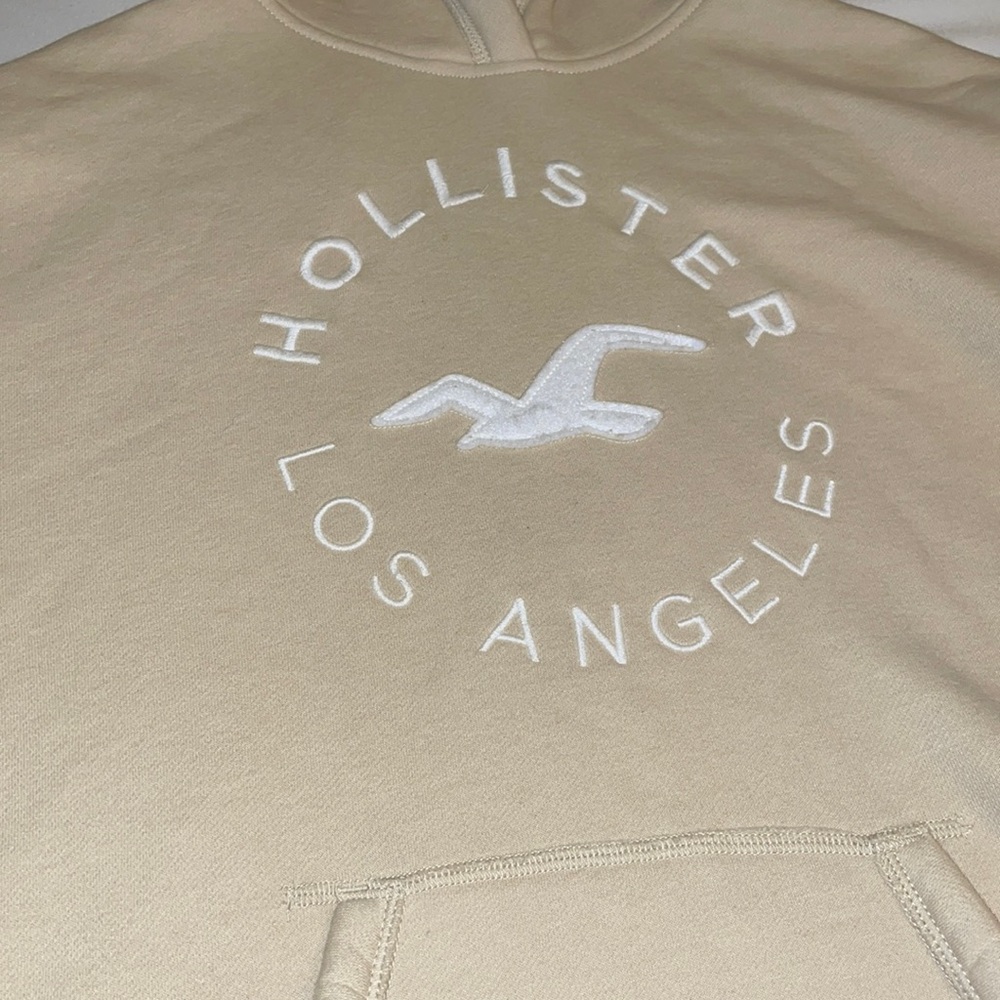 Hollister Hoodie